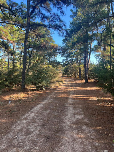 TBD Pine Lodge Dr — photo 3
