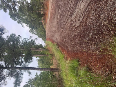Lot 1491 Haleakala — photo 2