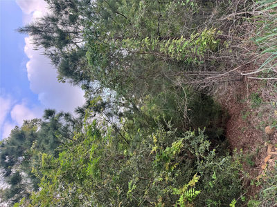 Lot 1386 N Pahihi Dr — photo 5