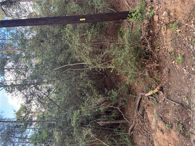 Lots 158 and 159 Hekili Dr — photo 2