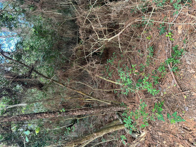 Lots 158 and 159 Hekili Dr — photo 4
