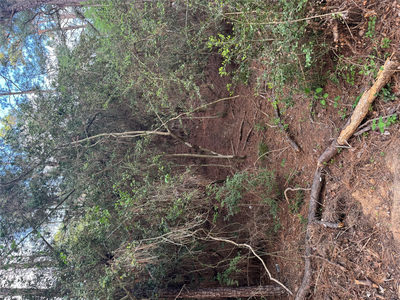 Lots 158 and 159 Hekili Dr — photo 3