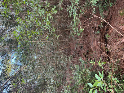 Lots 158 and 159 Hekili Dr — photo 5