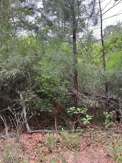 Lot 1603 Ulupau Cir — photo 5