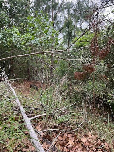 Lot 1603 Ulupau Cir — photo 2