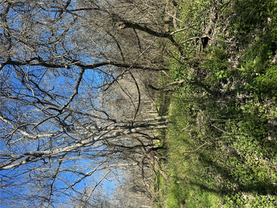 Lot 961 Riverside Dr — photo 4