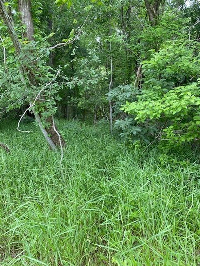 Lot 812 Kaukonahua Ln — photo 2