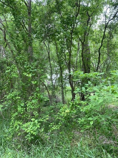 Lot 812 Kaukonahua Ln — photo 3