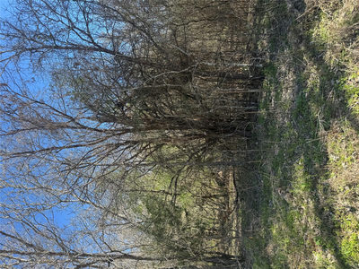 Lot 321 Kolekole Ln — photo 5