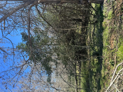 Lot 321 Kolekole Ln — photo 4