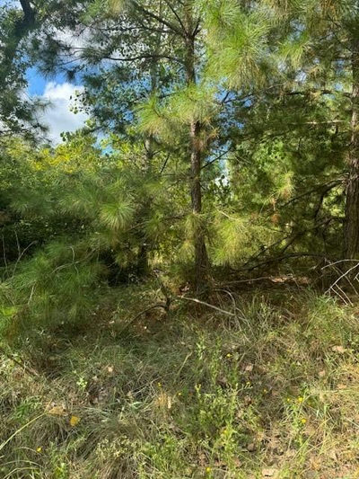 Lot 1339 Tahitian Dr — photo 2