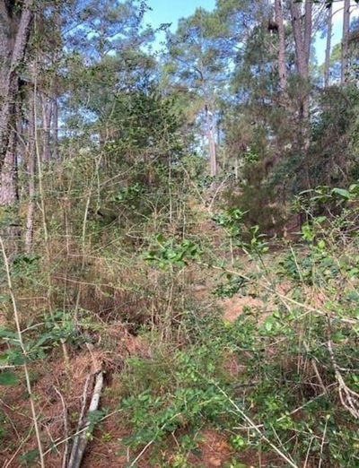 Lot 93 Papawai Dr — photo 4