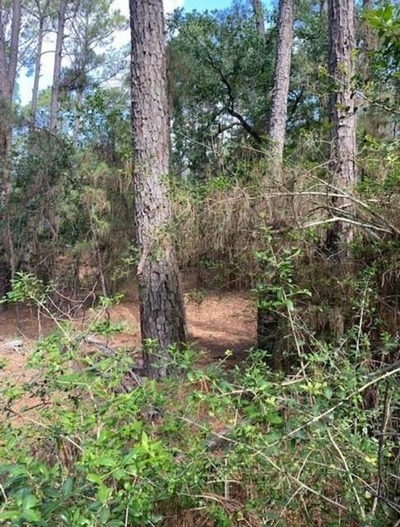 Lot 93 Papawai Dr — photo 5