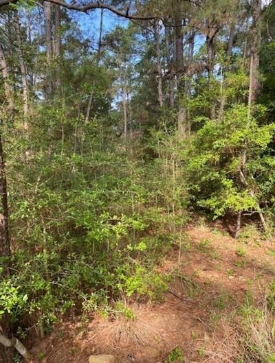 Lot 93 Papawai Dr — photo 3
