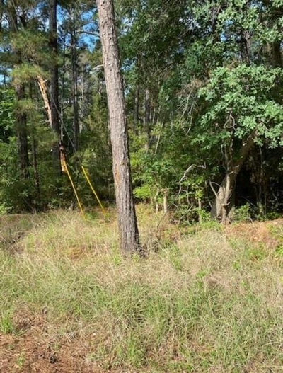 Lot 93 Papawai Dr — photo 2