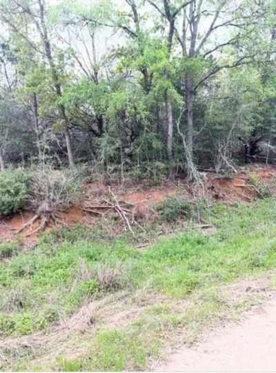 Lot 755 Bali Hai Ln — photo 5
