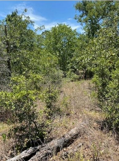 Lot 1123 Koali Dr — photo 2