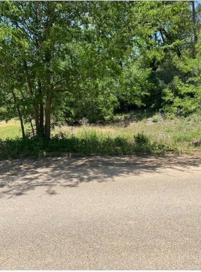 Lot 1123 Koali Dr — photo 5