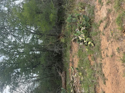108 Howi Ln — photo 2