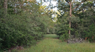 Ranch Land Easley Rd — photo 3
