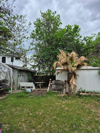604 Springdale Rd — photo 5