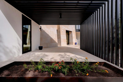 700 Rancho Grande Dr — photo 4