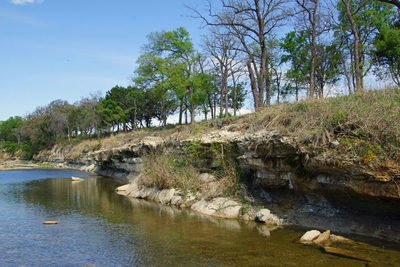 TBD County Road 207 — photo 3