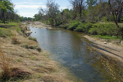 TBD County Road 207 — photo 2