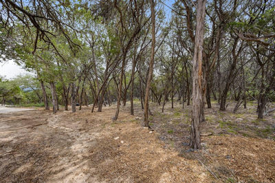 000 Rancho Grande Dr — photo 2