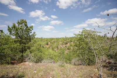 TBD River Forest Dr — photo 5
