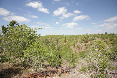 TBD River Forest Dr — photo 4