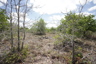 TBD River Forest Dr — photo 3