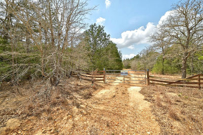 109 Crepe Myrtle Rd — photo 5
