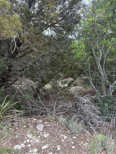 20905 Magellan Cv — photo 5