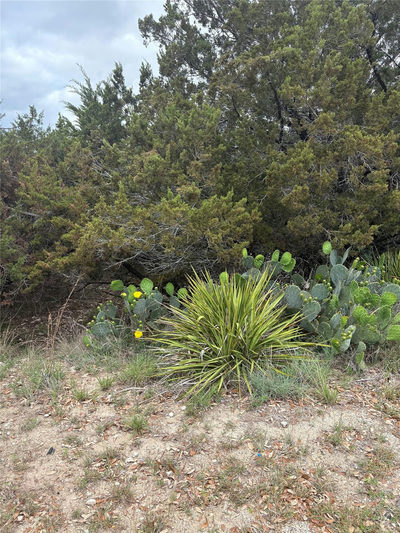 20905 Magellan Cv — photo 2