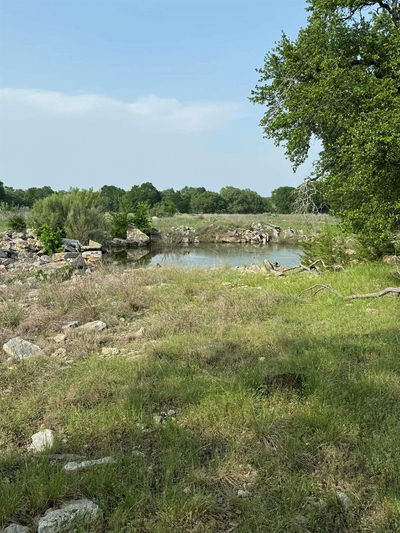 2251 County Road 234 Ln — photo 4