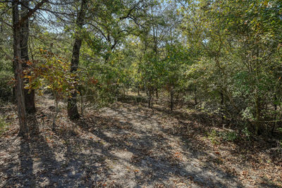 181 Lockwood Rd — photo 4