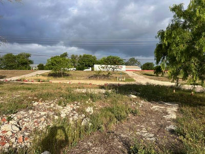 10412 Highway Fm 812 Hwy — photo 5