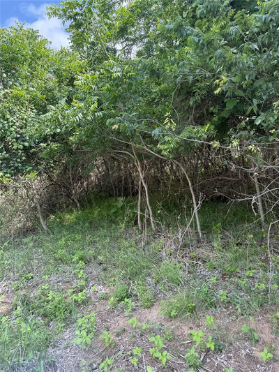 Lot 959 Riverside Dr — photo 3