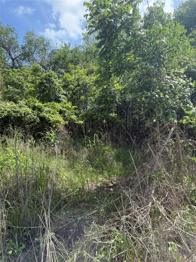 Lot 959 Riverside Dr — photo 5