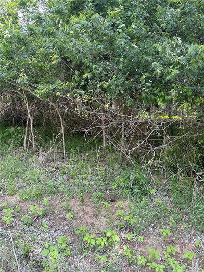 Lot 959 Riverside Dr — photo 2
