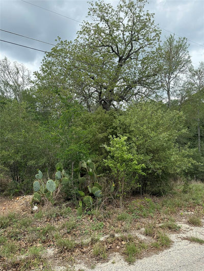 lot 70 Kaelepulu Dr — photo 2
