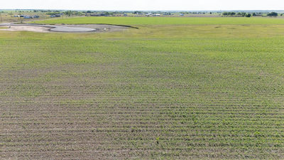 450 County Road 423 — photo 3