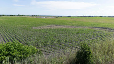 450 County Road 423 — photo 2