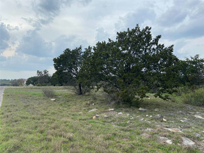 Lot 22244 Westward Ho/Long Shot — photo 3
