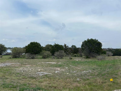 Lot 22244 Westward Ho/Long Shot — photo 4