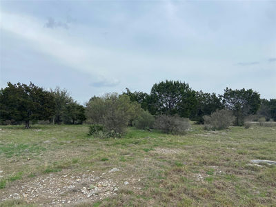 Lot 22244 Westward Ho/Long Shot — photo 2