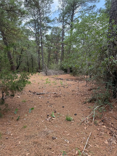 Lot 35 Tanglewood Dr — photo 3