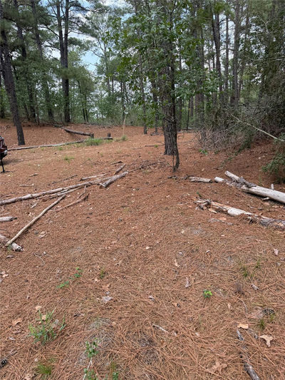 Lot 35 Tanglewood Dr — photo 2