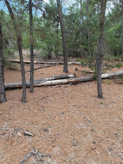 Lot 35 Tanglewood Dr — photo 5